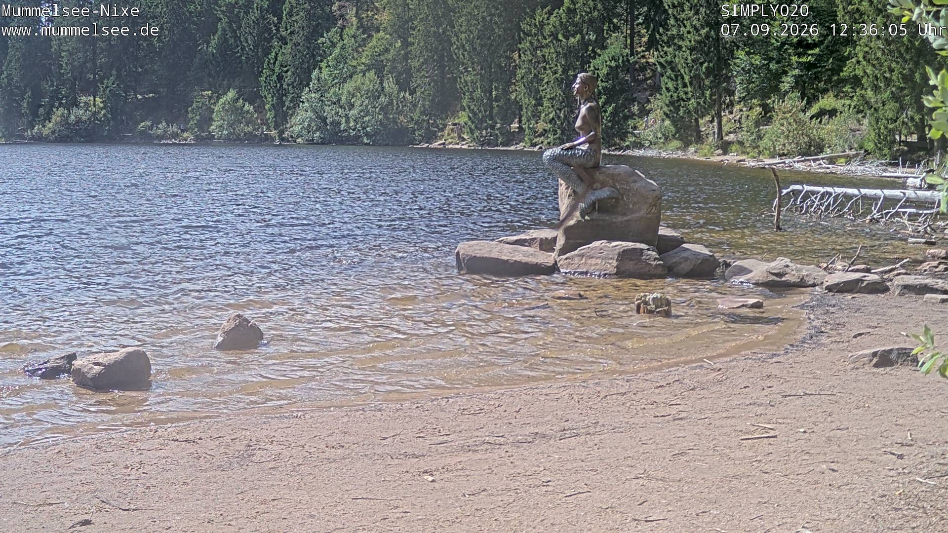 Archived image Webcam Lake Mummelsee - Black Forest