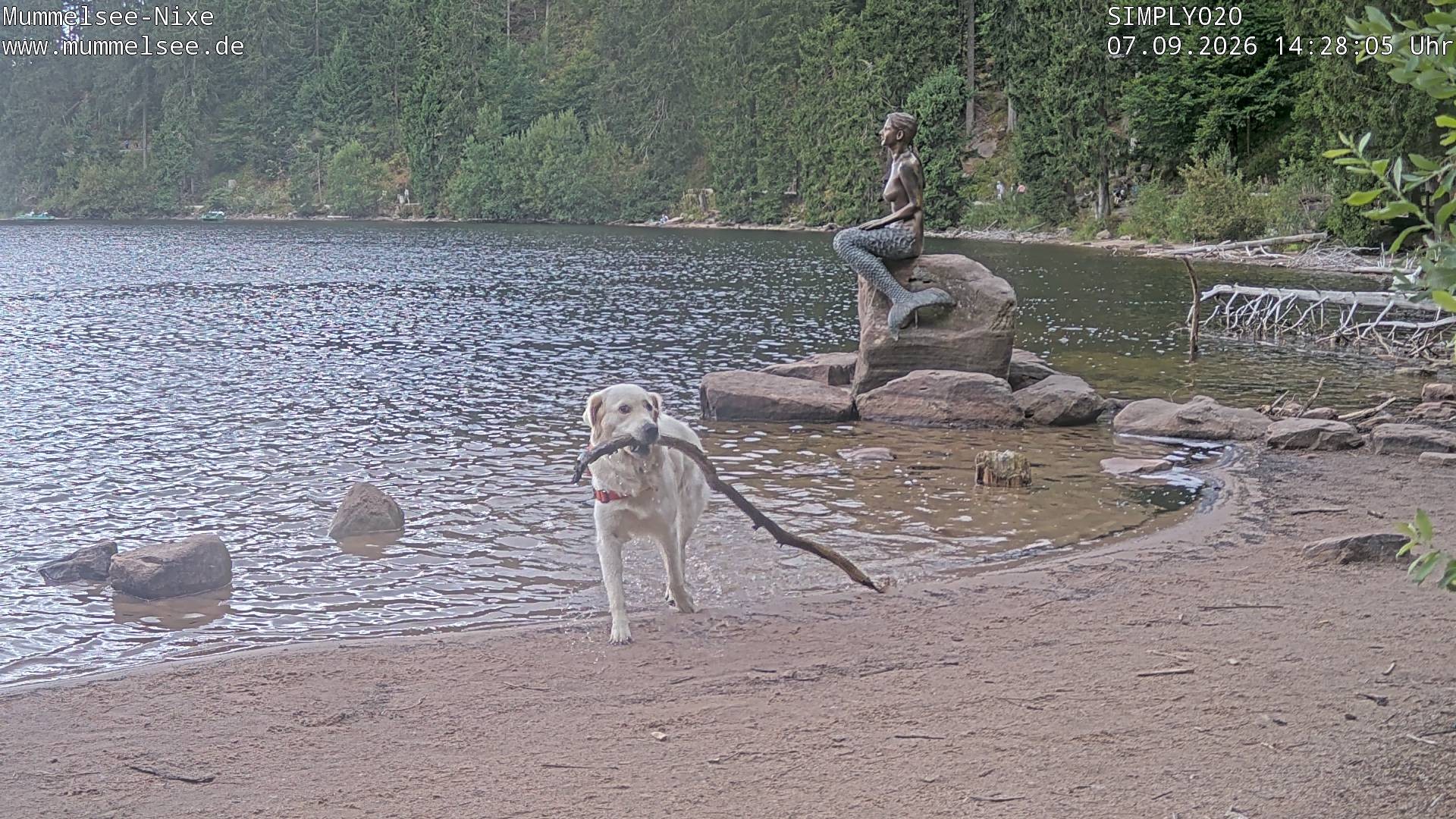 Archived image Webcam Lake Mummelsee - Black Forest