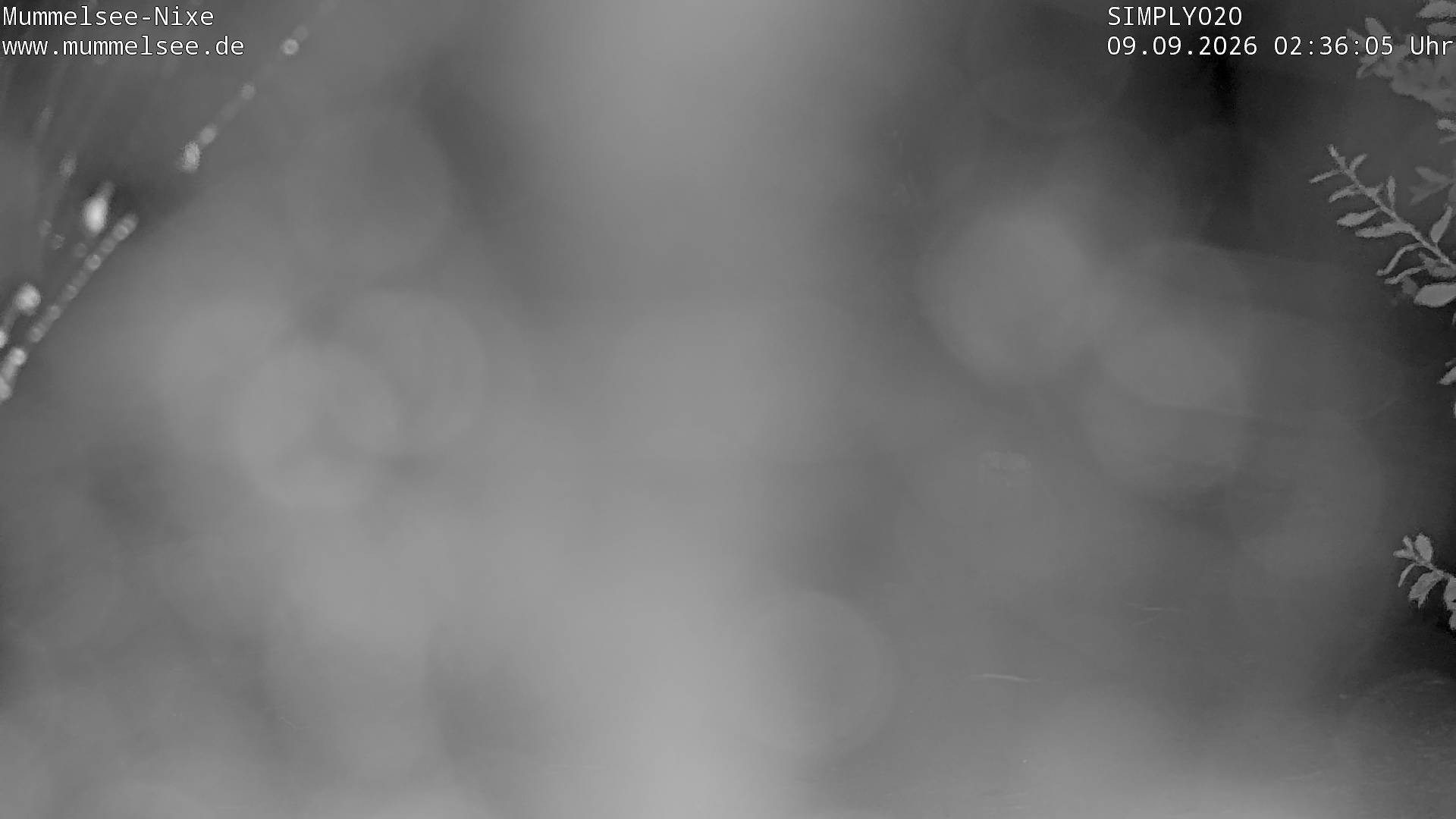 Archived image Webcam Lake Mummelsee - Black Forest