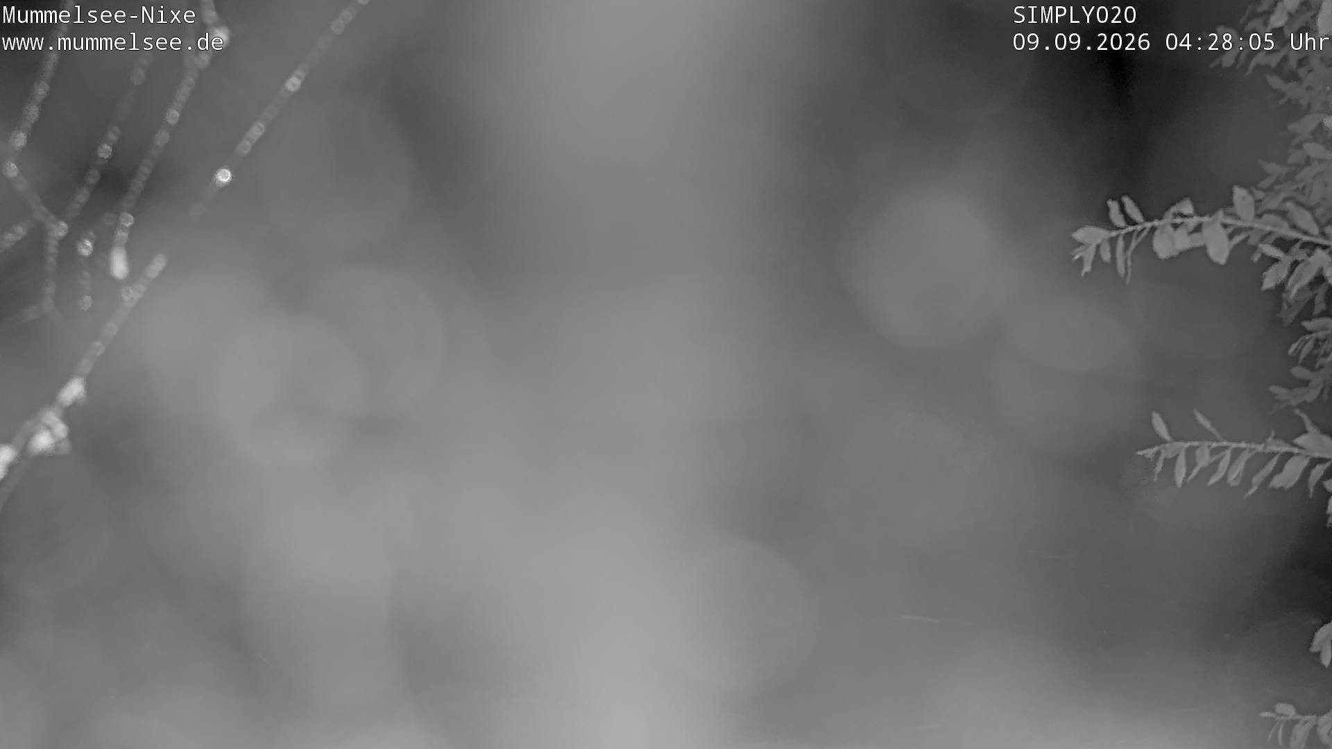 Archived image Webcam Lake Mummelsee - Black Forest