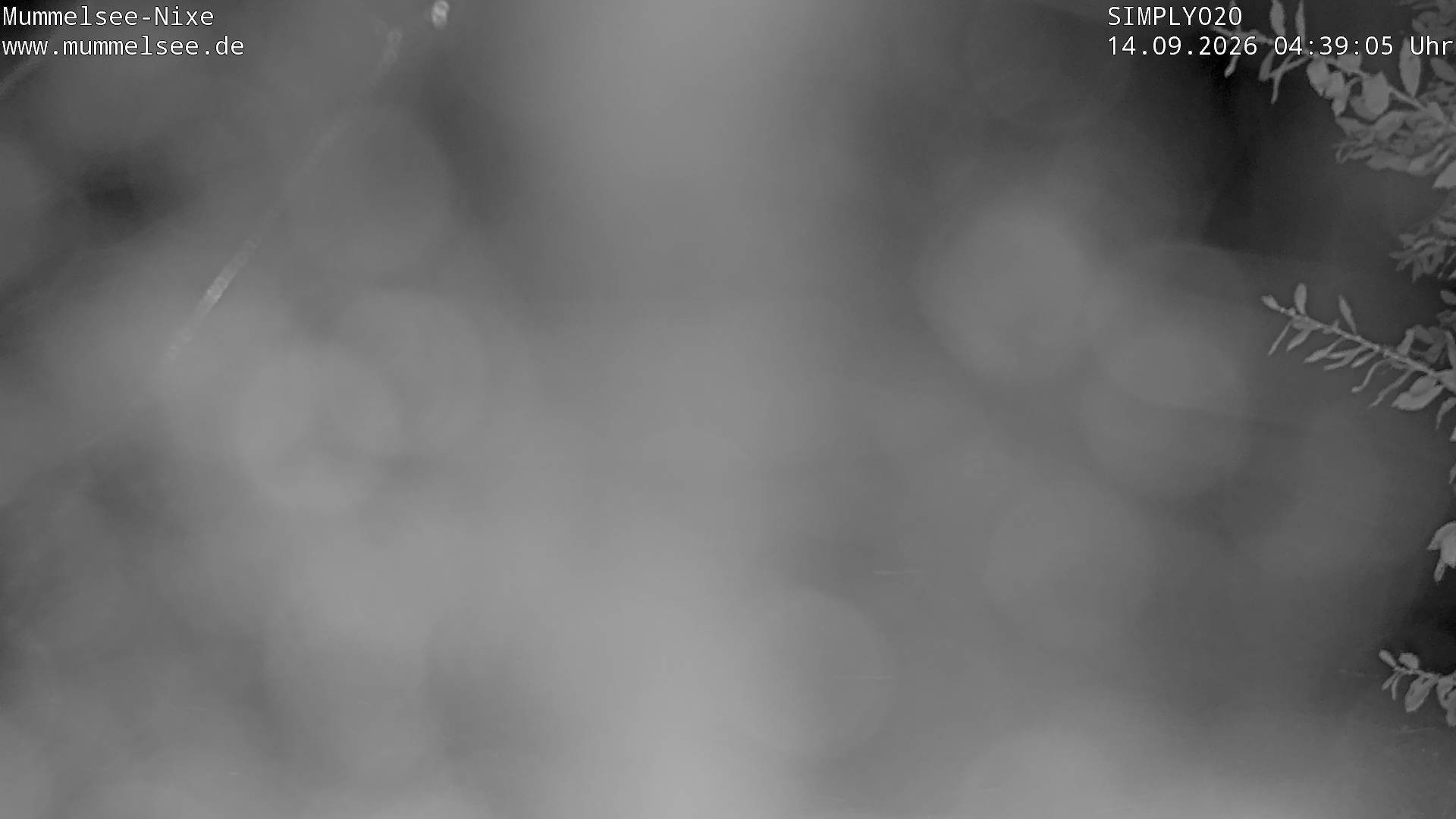 Archiv Foto Webcam Ufer Mummelsee
