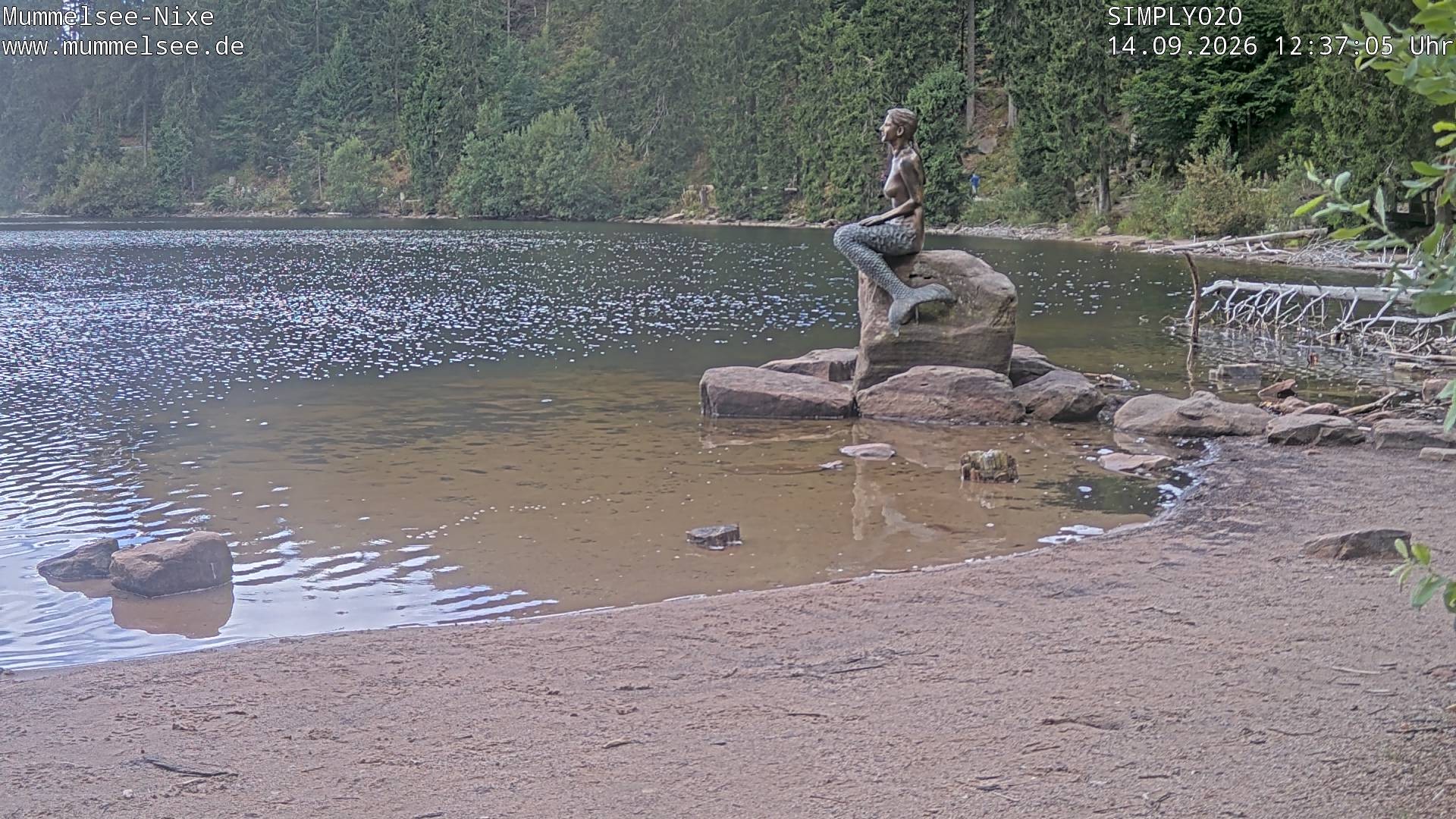 Archiv Foto Webcam Ufer Mummelsee