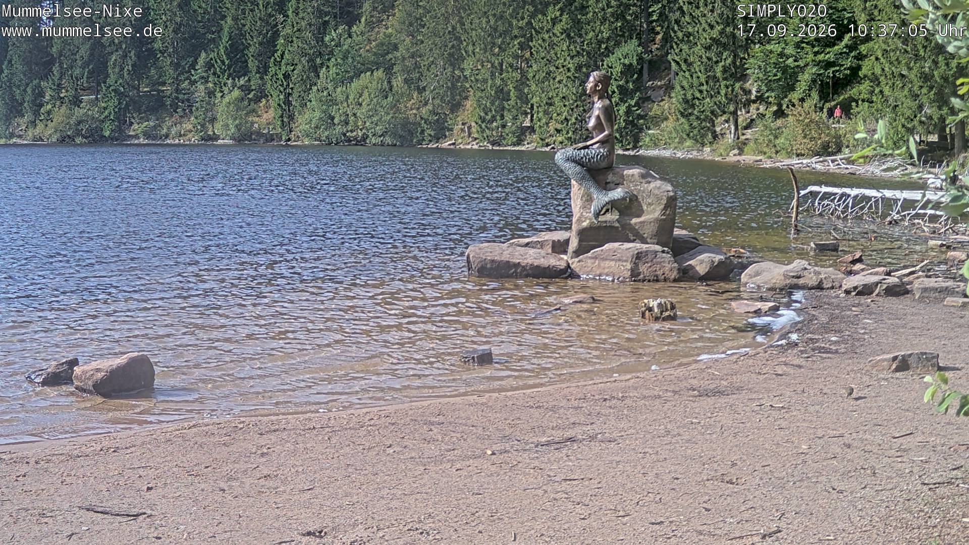 Archiv Foto Webcam Ufer Mummelsee