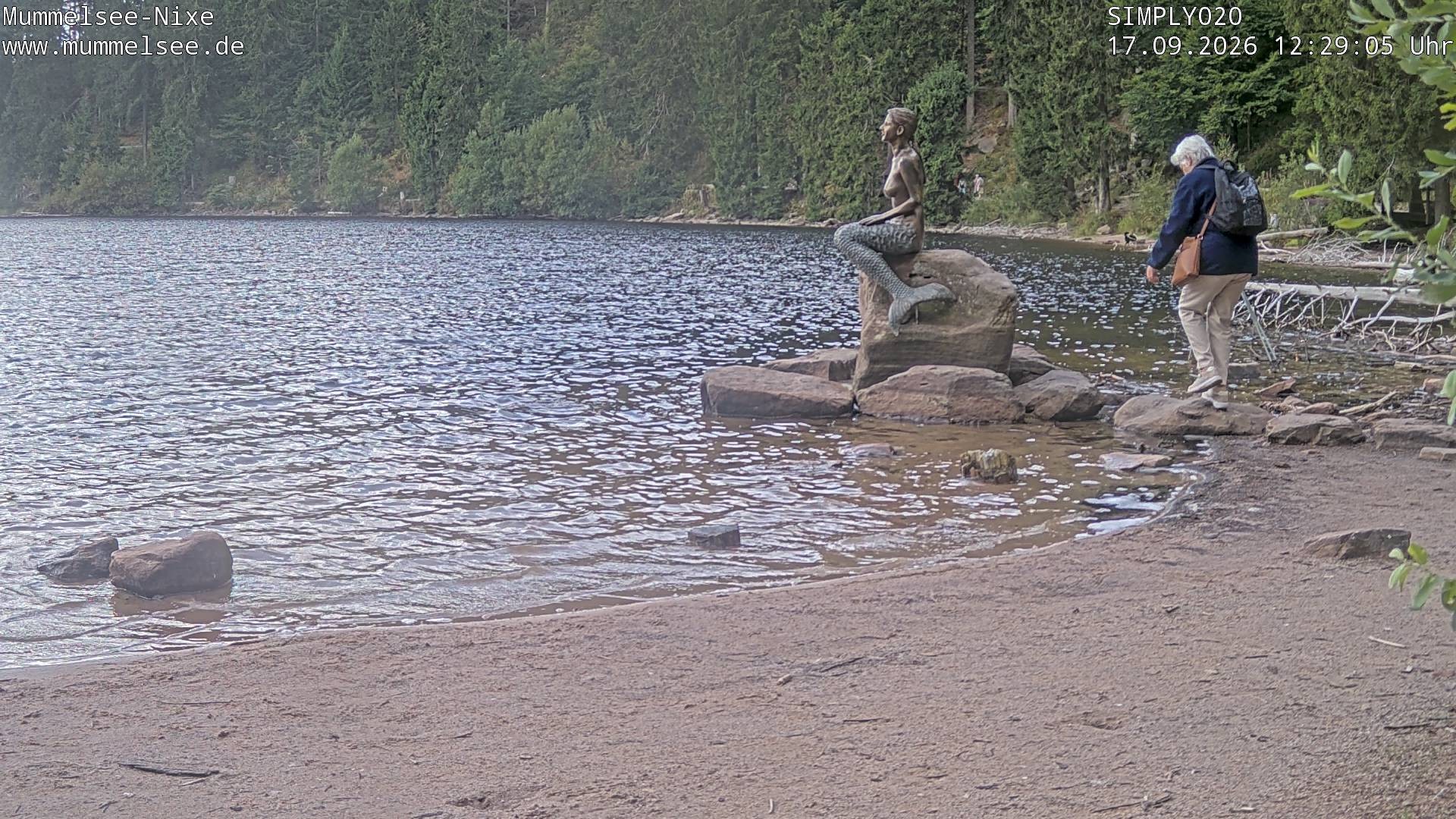 Archiv Foto Webcam Ufer Mummelsee