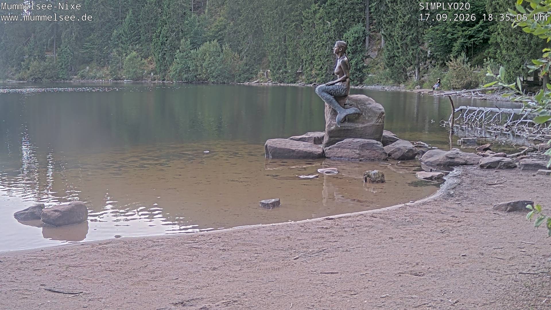Archiv Foto Webcam Ufer Mummelsee