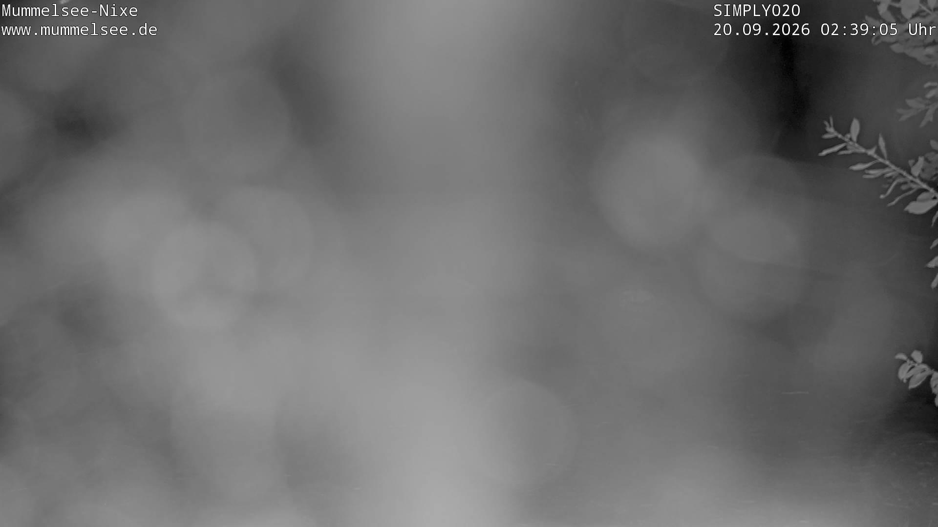 Archiv Foto Webcam Ufer Mummelsee