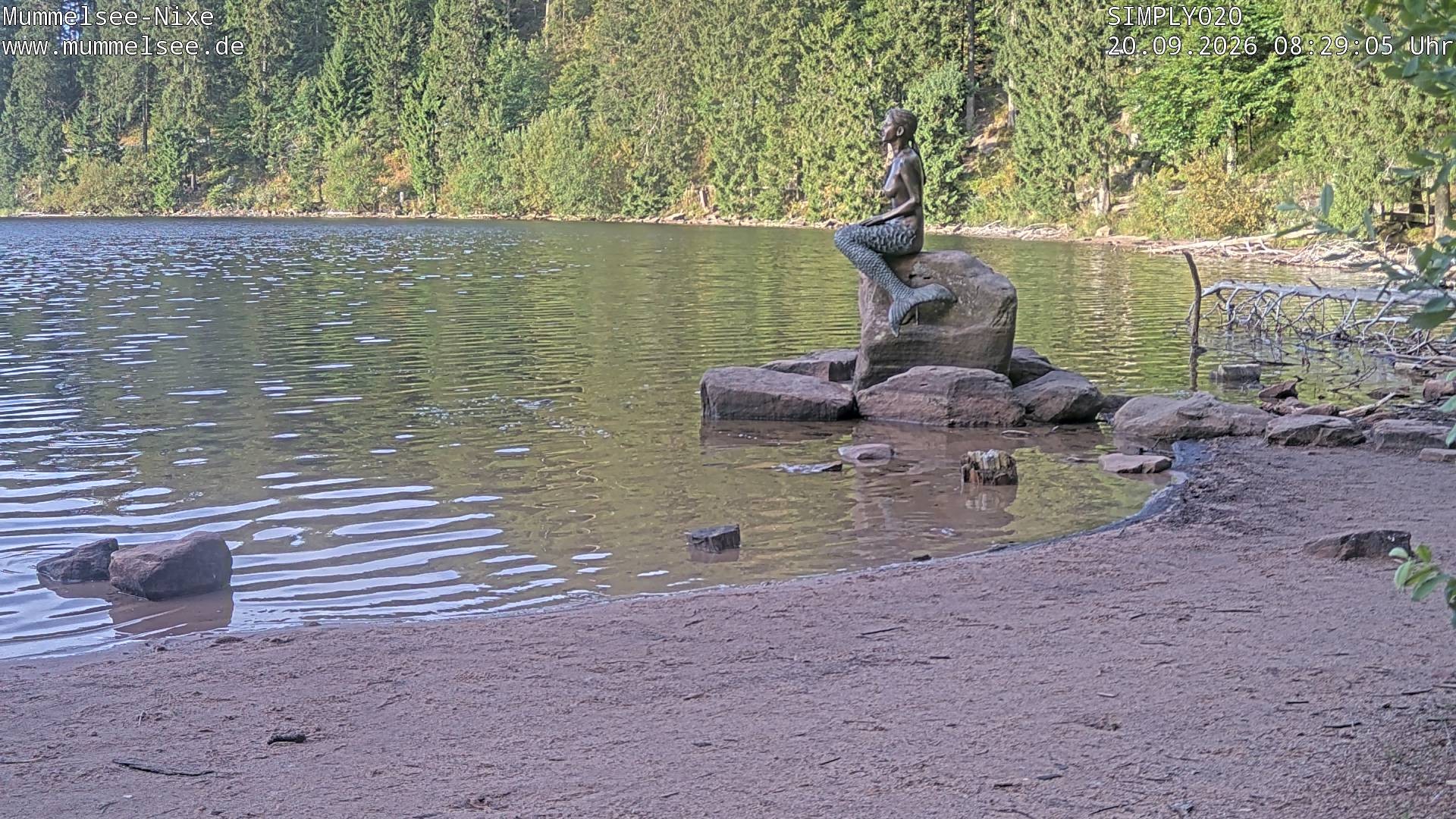 Archiv Foto Webcam Ufer Mummelsee
