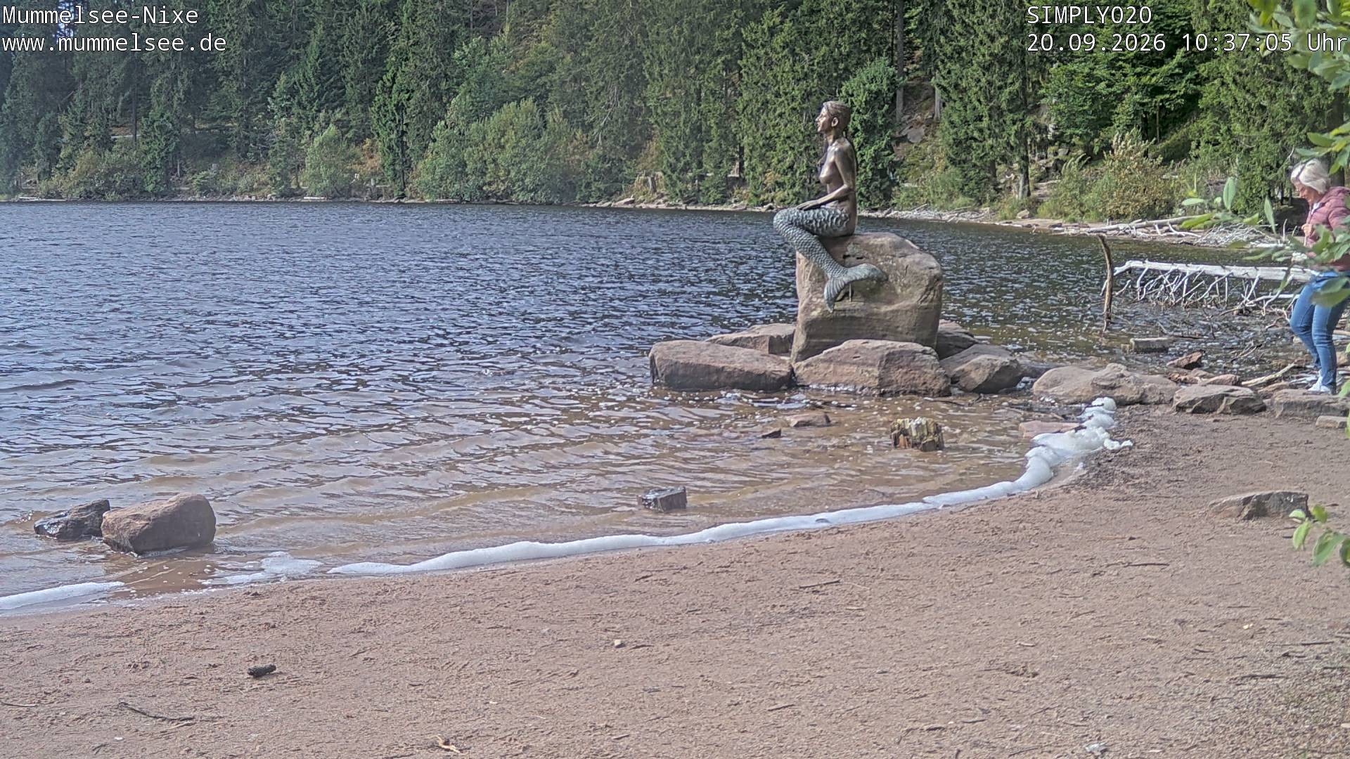 Archiv Foto Webcam Ufer Mummelsee
