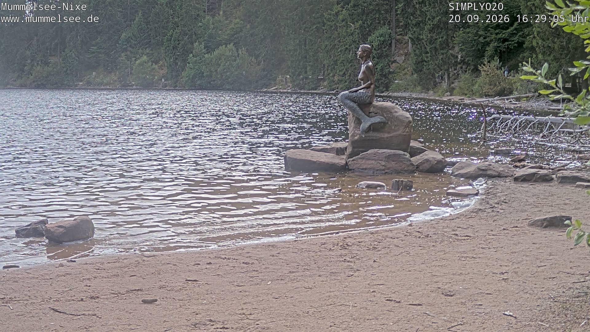 Archiv Foto Webcam Ufer Mummelsee