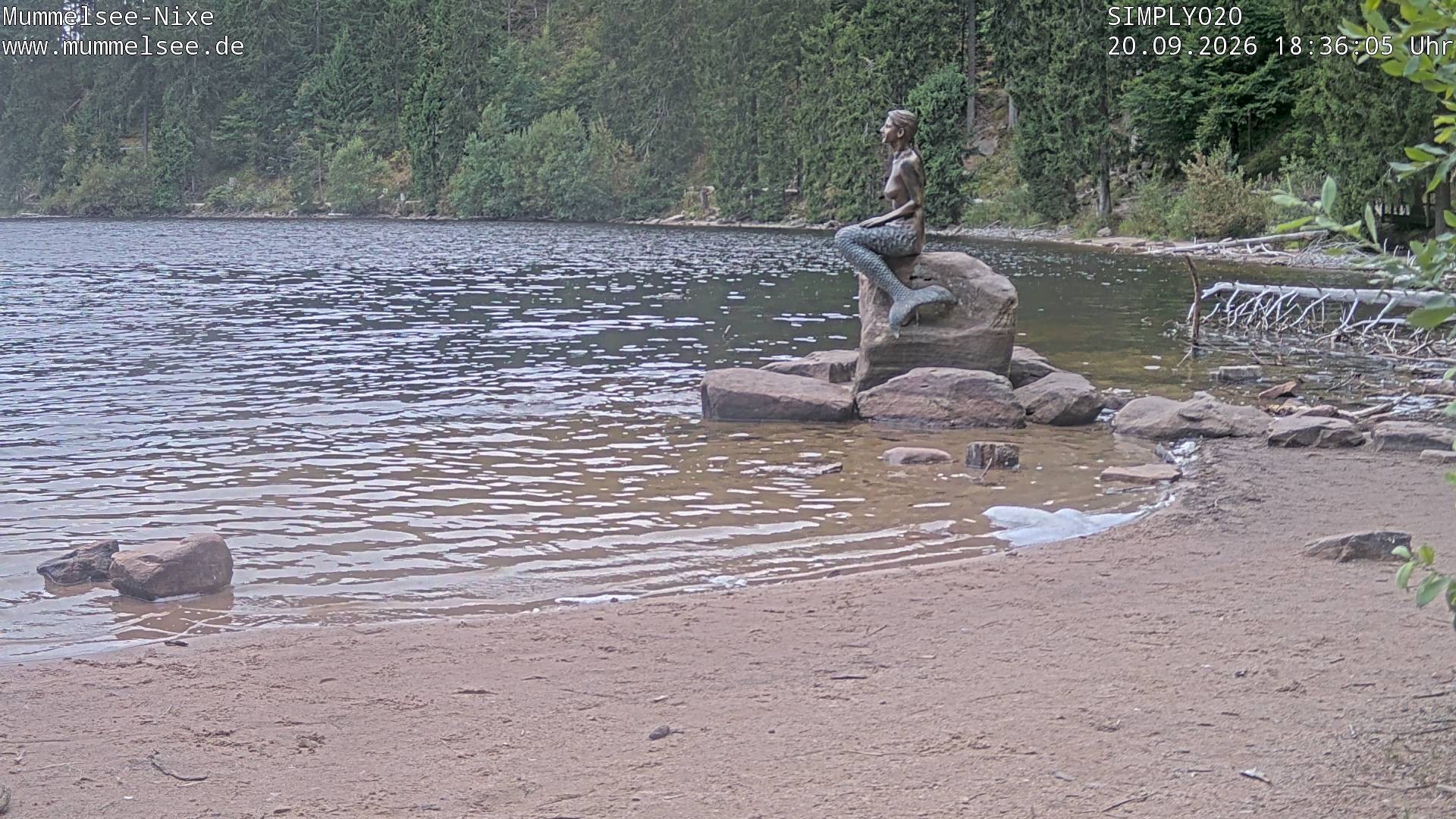 Archiv Foto Webcam Ufer Mummelsee