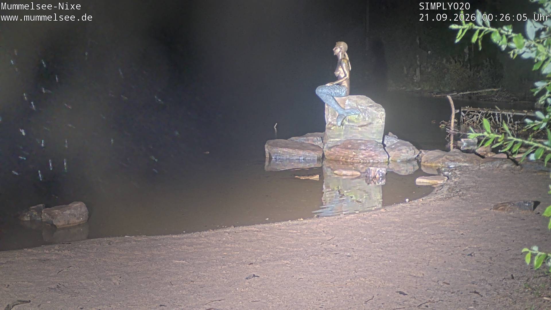 Archiv Foto Webcam Ufer Mummelsee
