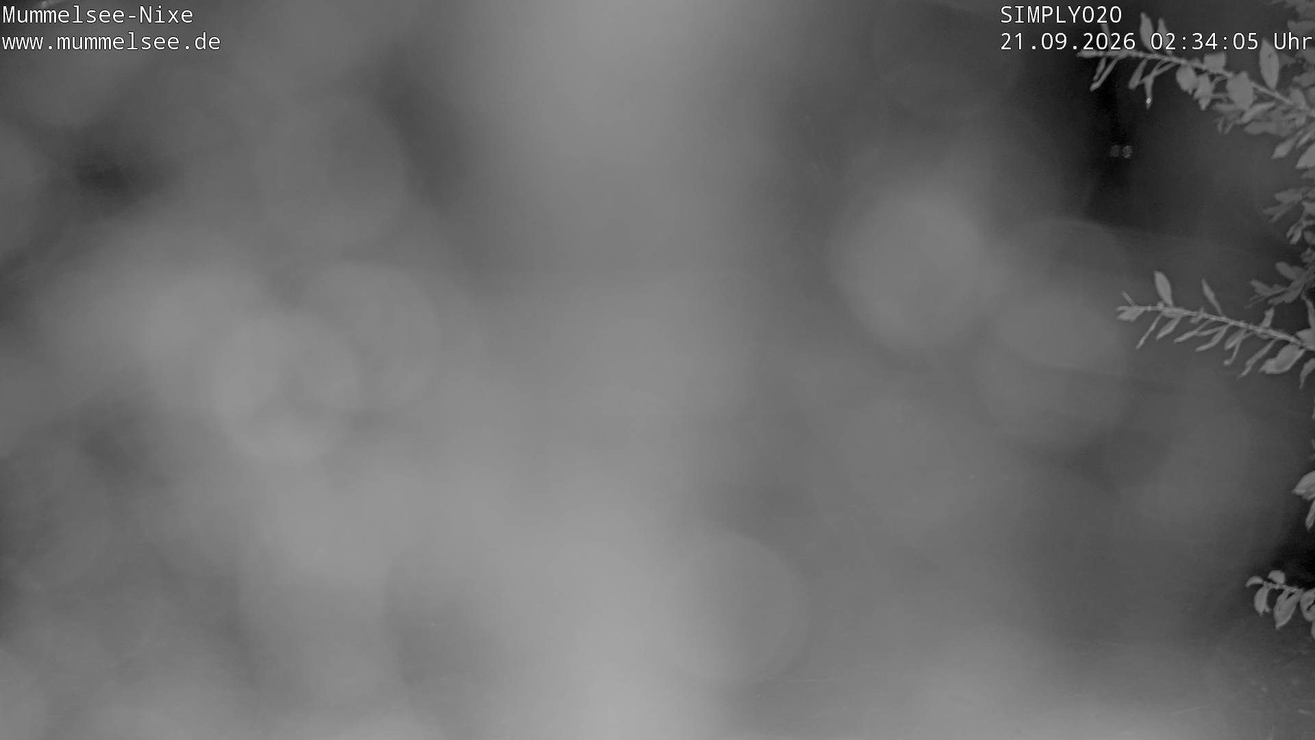 Archiv Foto Webcam Ufer Mummelsee