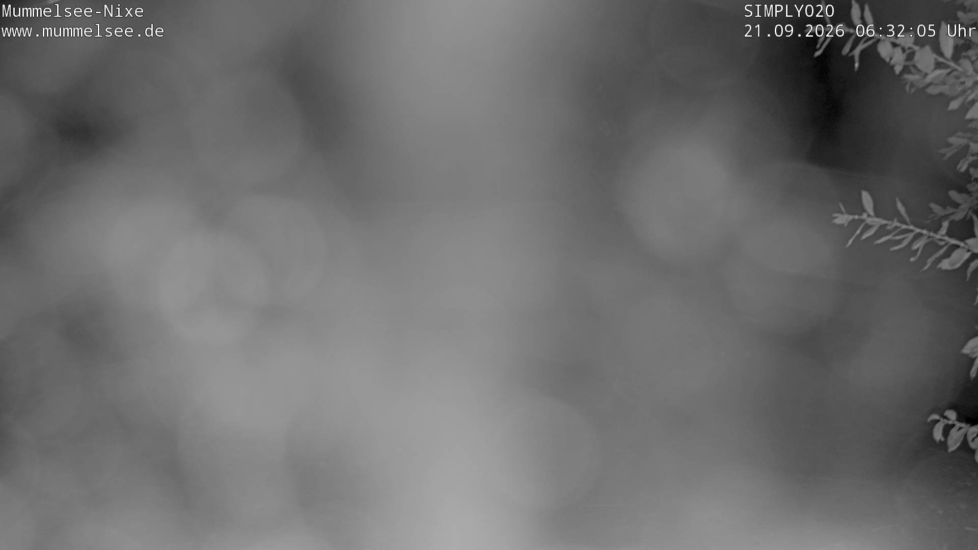 Archiv Foto Webcam Ufer Mummelsee
