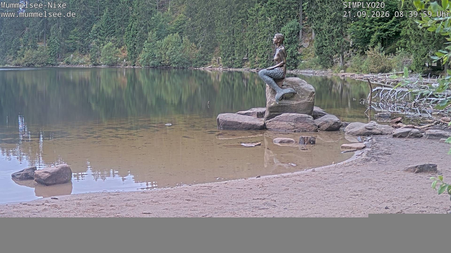 Archiv Foto Webcam Ufer Mummelsee
