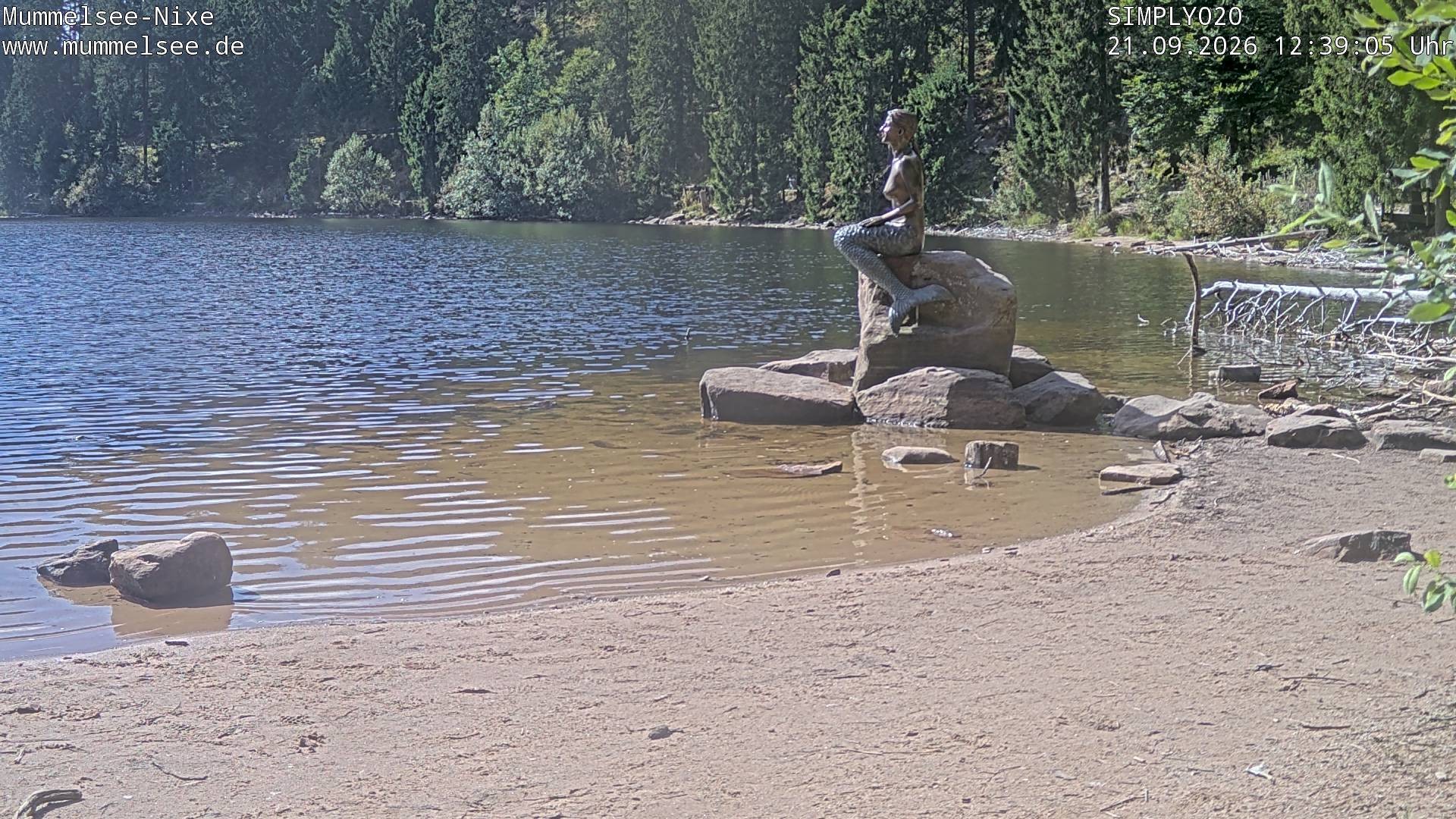 Archiv Foto Webcam Ufer Mummelsee