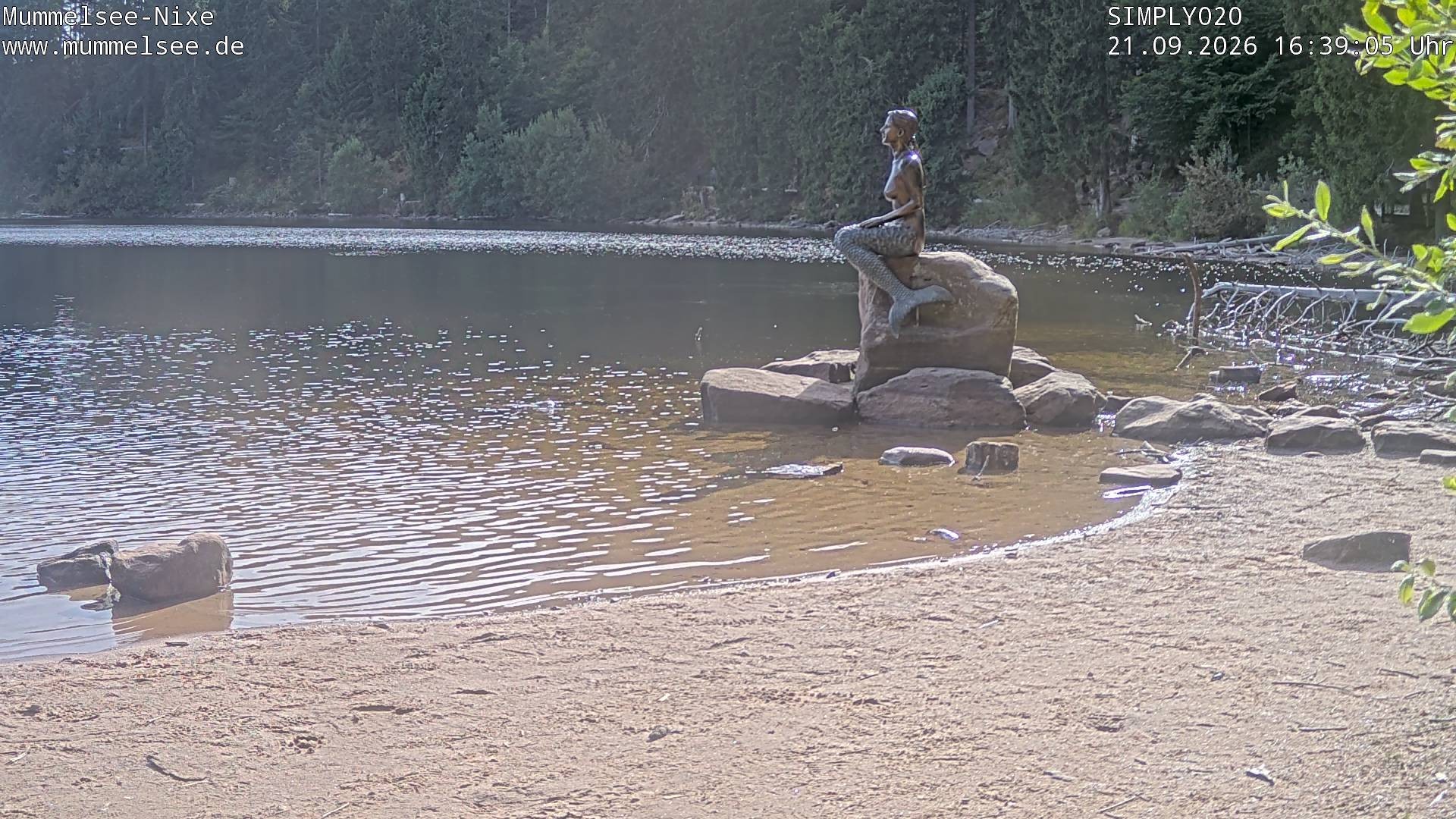 Archiv Foto Webcam Ufer Mummelsee