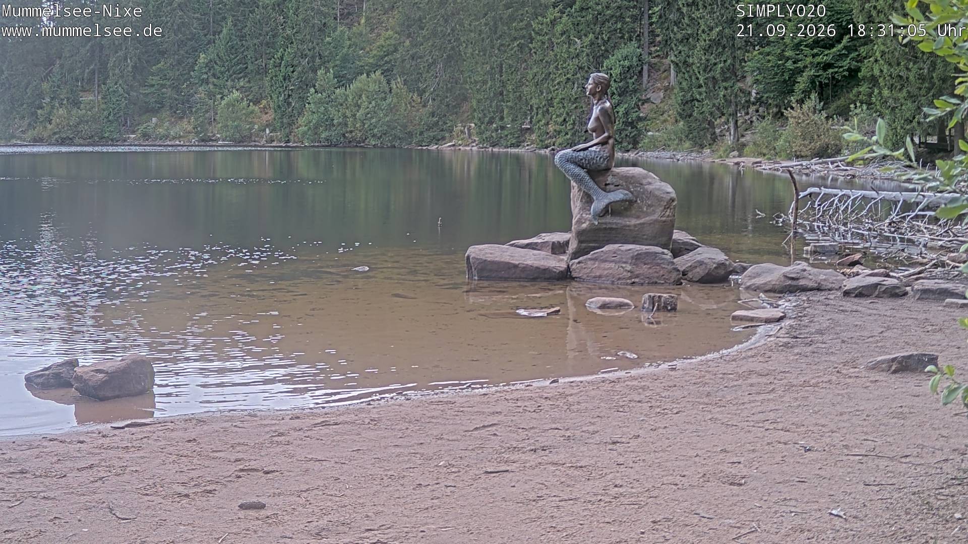 Archiv Foto Webcam Ufer Mummelsee
