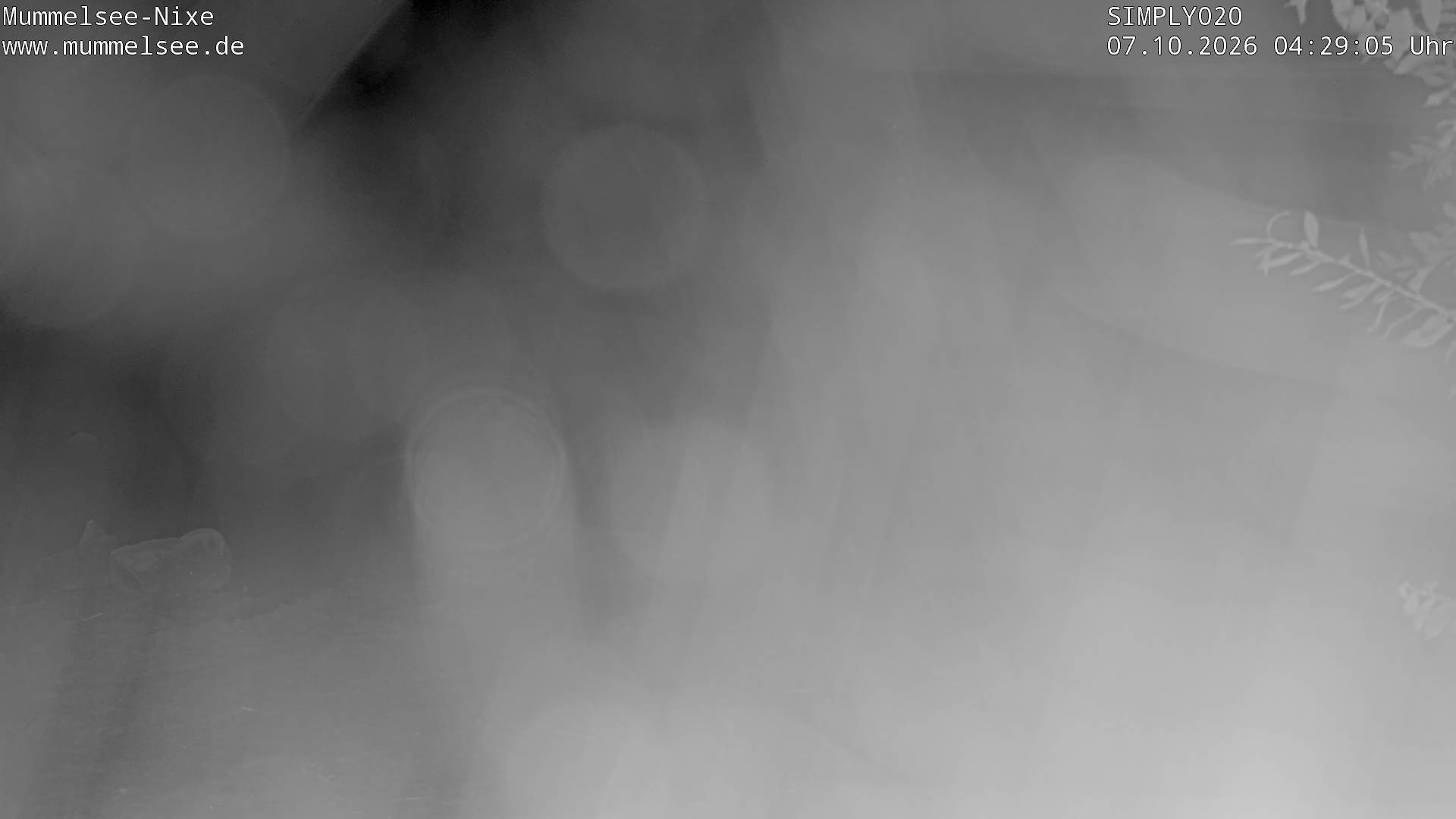 Archiv Foto Webcam Ufer Mummelsee