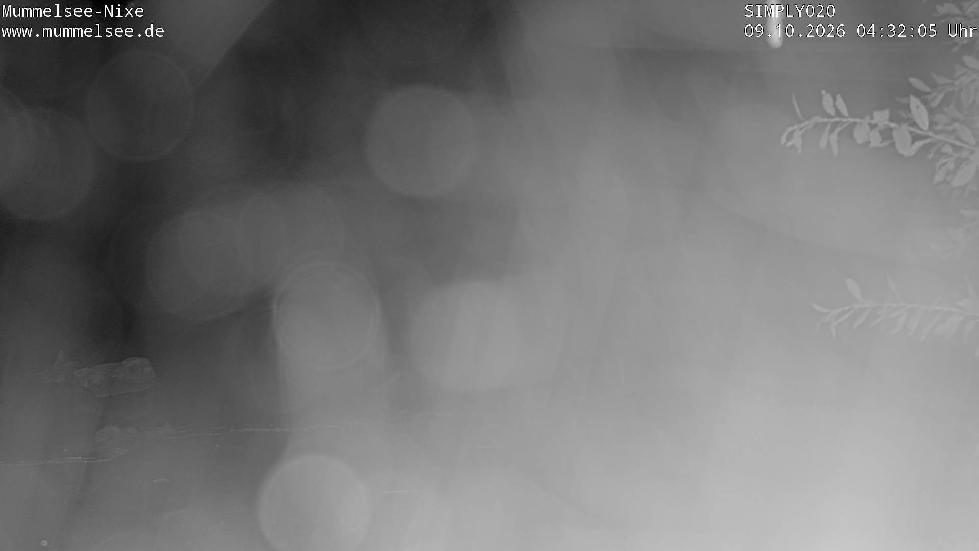Archived image Webcam Lake Mummelsee - Black Forest