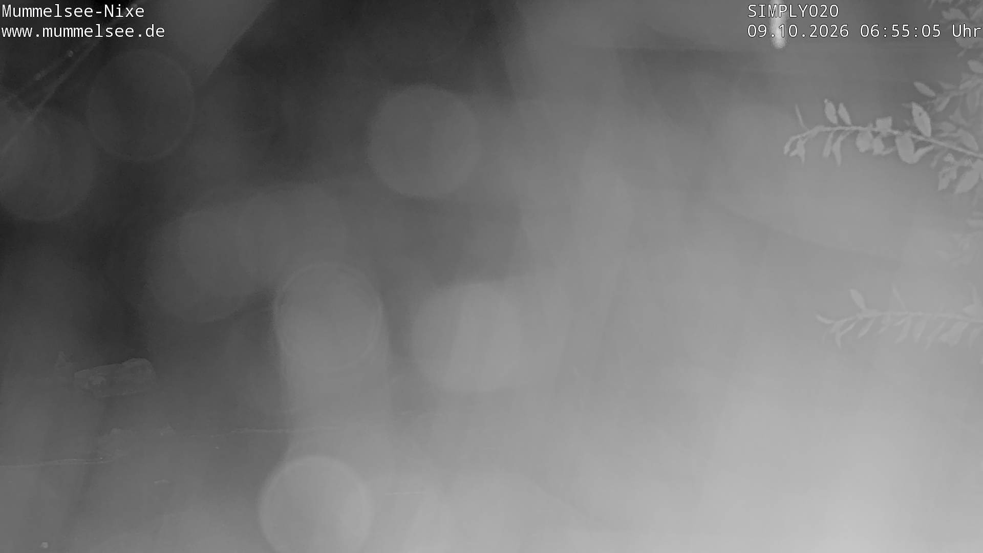 Archived image Webcam Lake Mummelsee - Black Forest