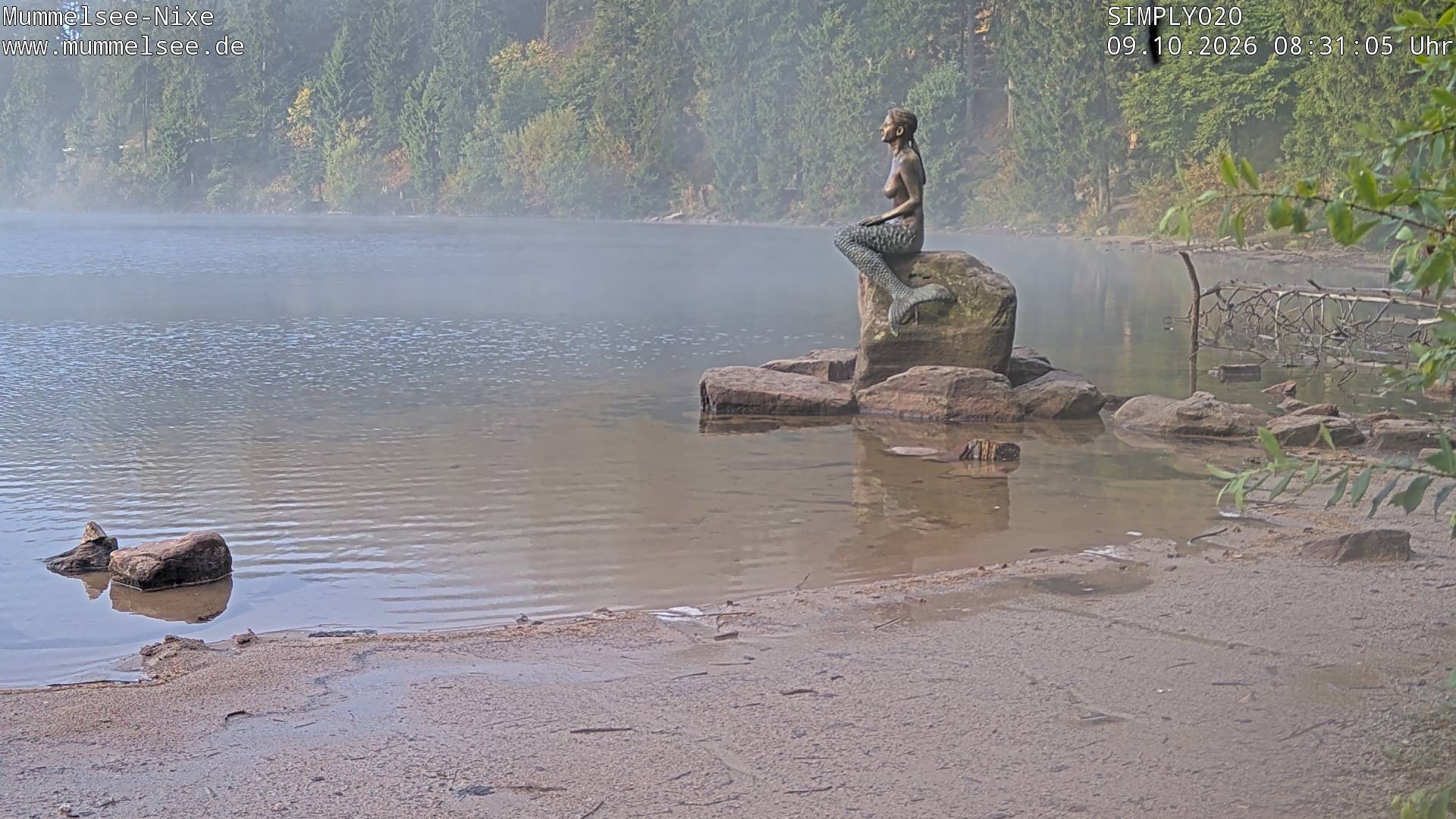 Archived image Webcam Lake Mummelsee - Black Forest