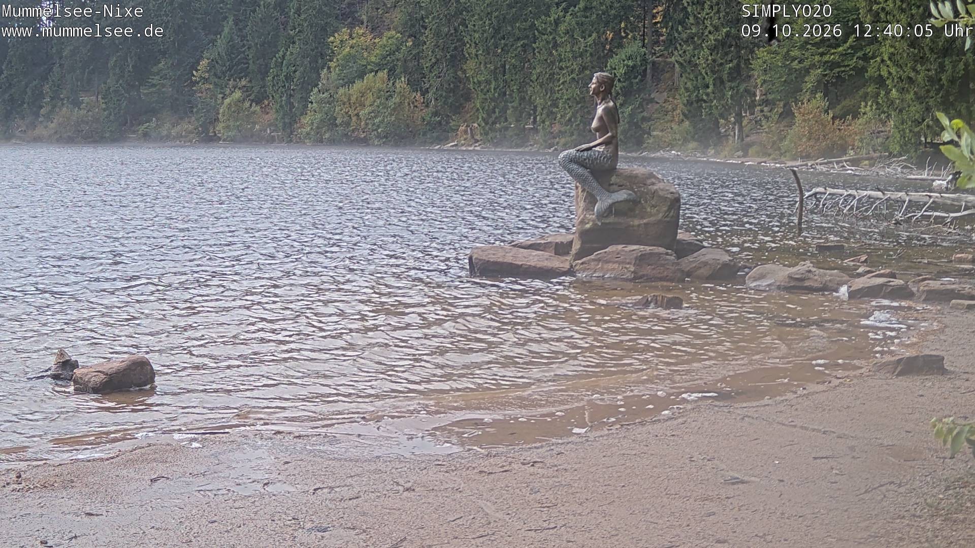 Archived image Webcam Lake Mummelsee - Black Forest