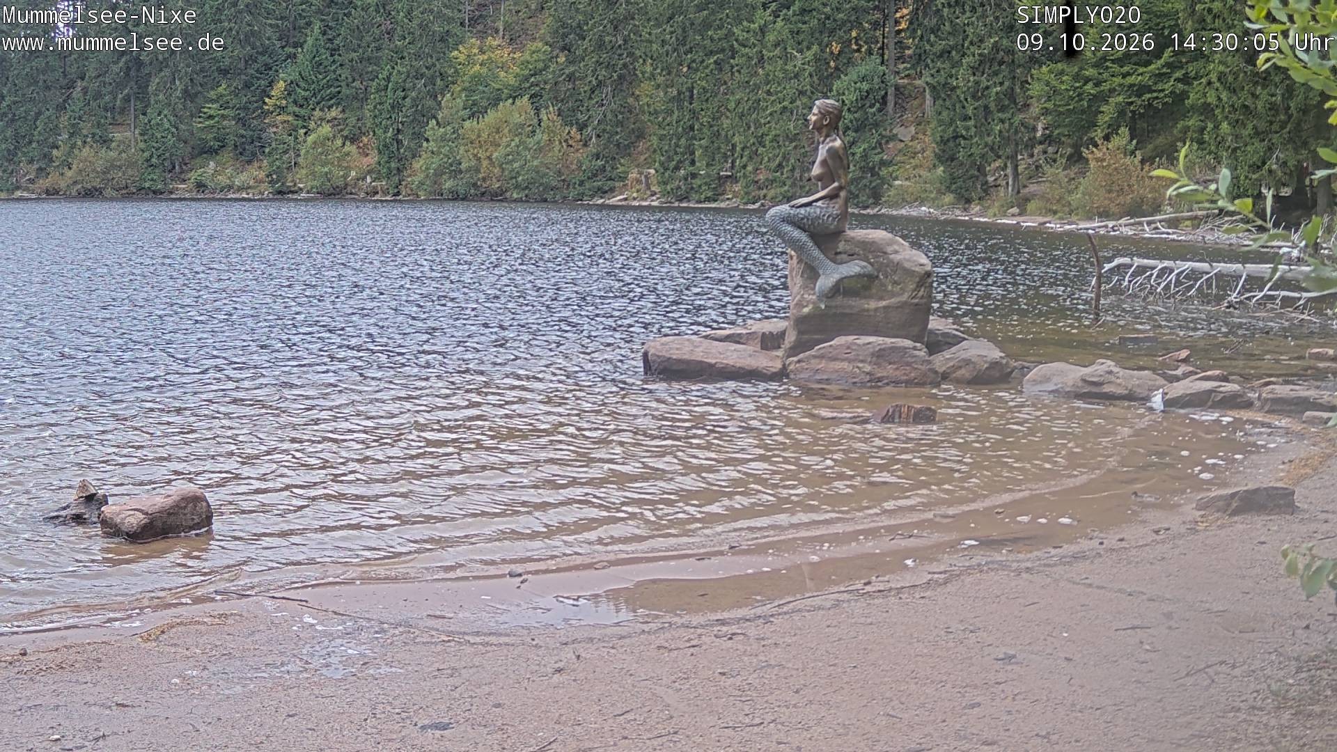Archived image Webcam Lake Mummelsee - Black Forest