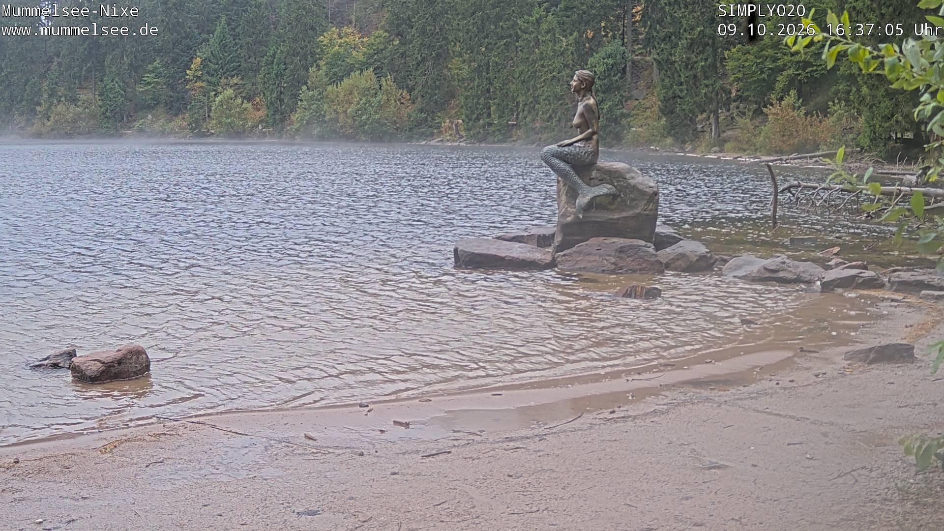 Archived image Webcam Lake Mummelsee - Black Forest