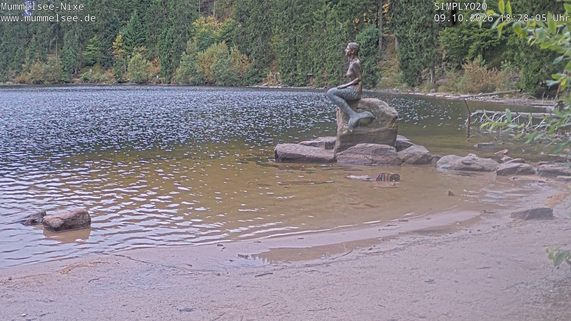 Archiv Foto Webcam Ufer Mummelsee