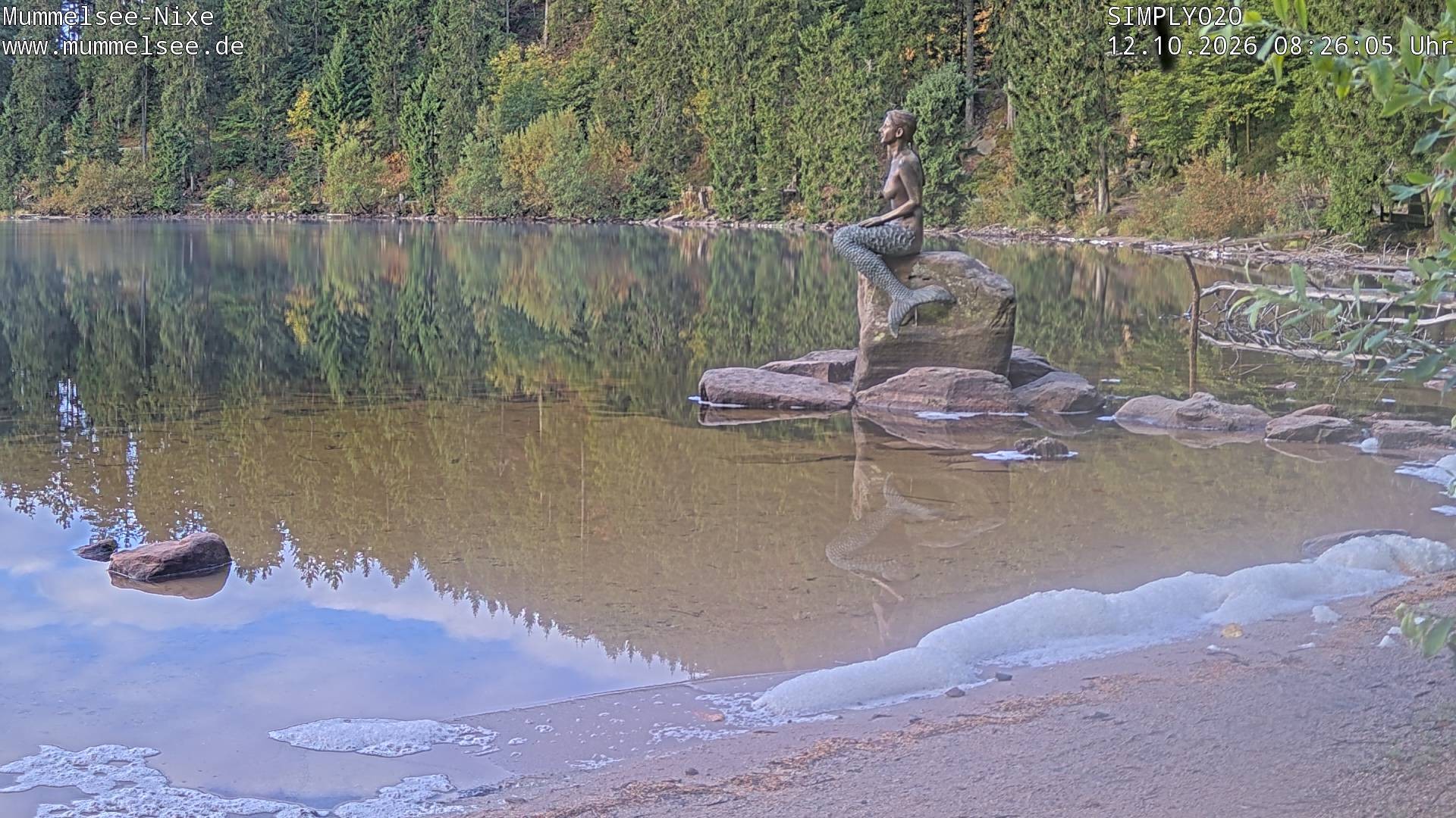 Archiv Foto Webcam Ufer Mummelsee