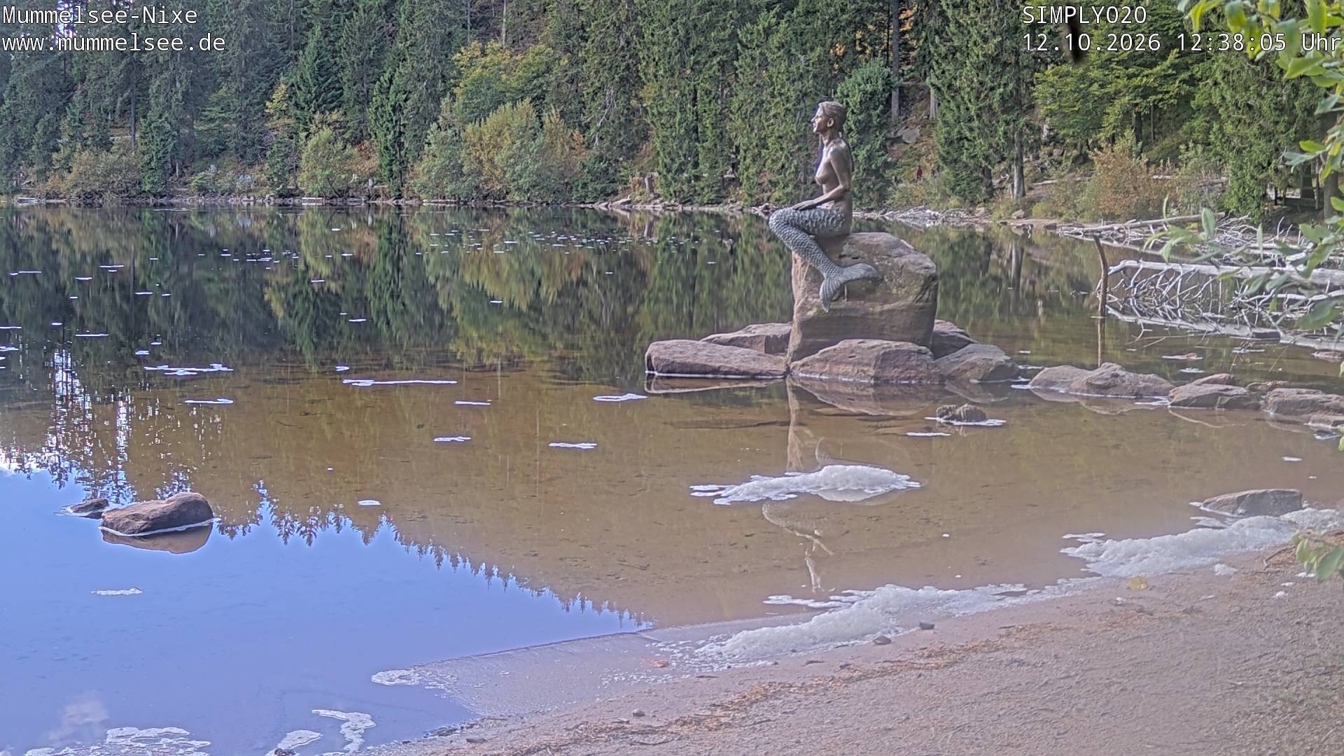 Archiv Foto Webcam Ufer Mummelsee