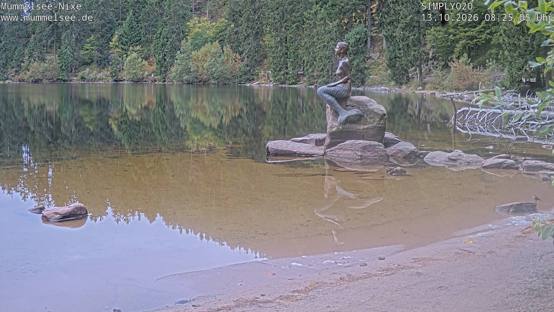 Archived image Webcam Lake Mummelsee - Black Forest