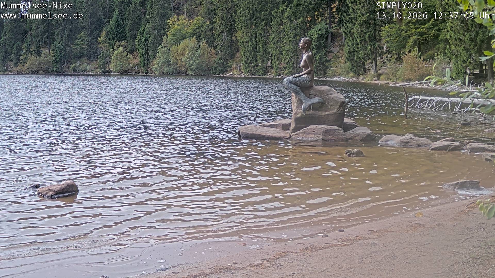 Archived image Webcam Lake Mummelsee - Black Forest
