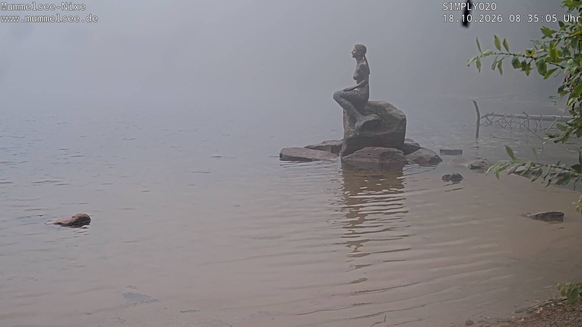 Archiv Foto Webcam Ufer Mummelsee