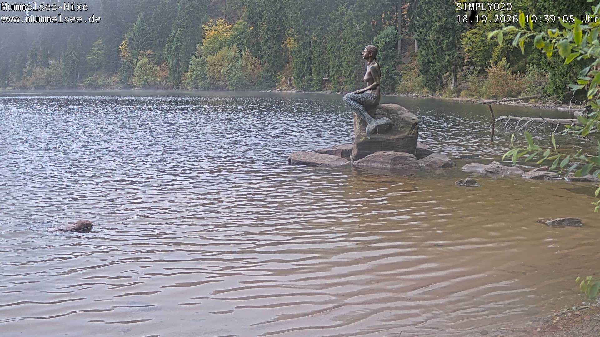 Archiv Foto Webcam Ufer Mummelsee