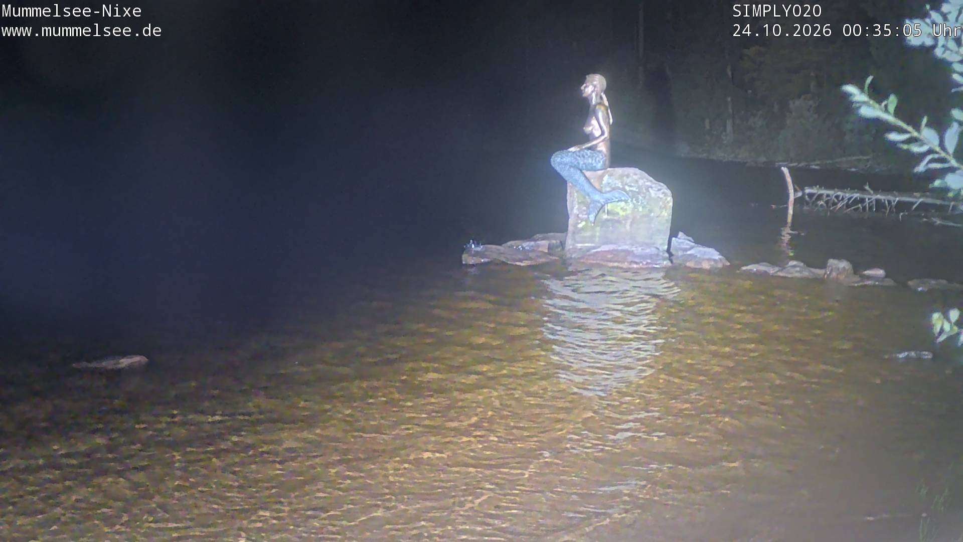 Archived image Webcam Lake Mummelsee - Black Forest