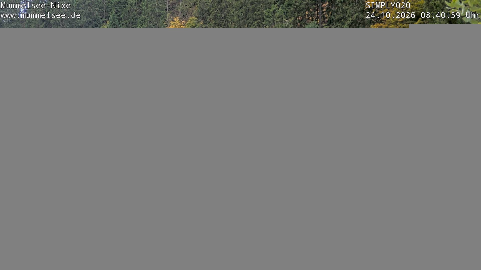 Archived image Webcam Lake Mummelsee - Black Forest