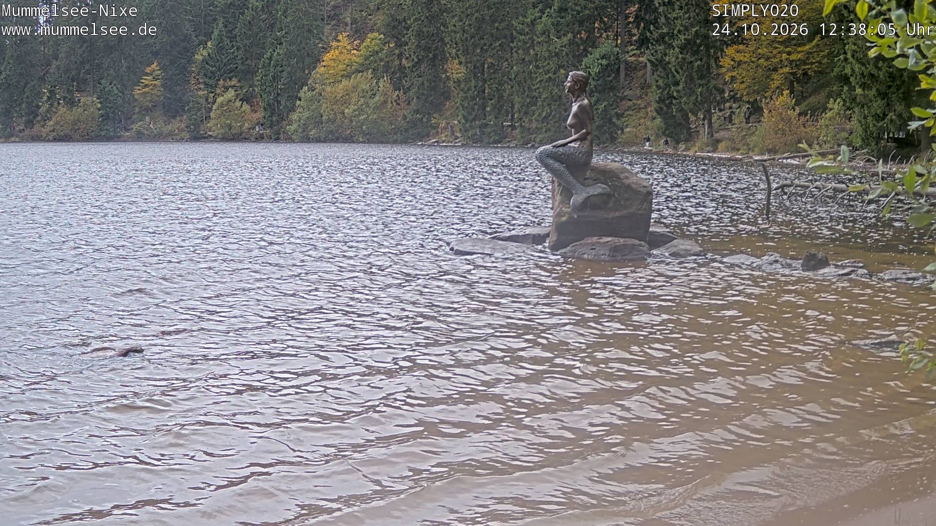 Archived image Webcam Lake Mummelsee - Black Forest