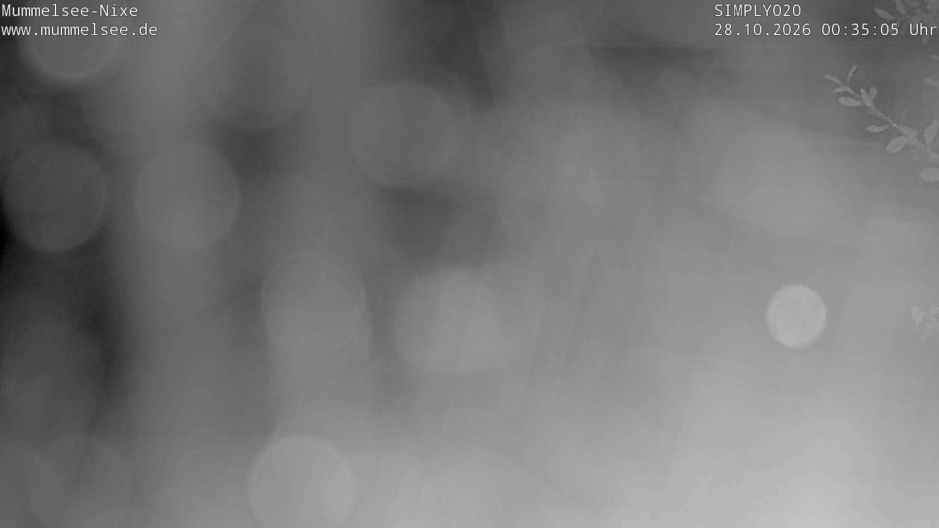 Archived image Webcam Lake Mummelsee - Black Forest