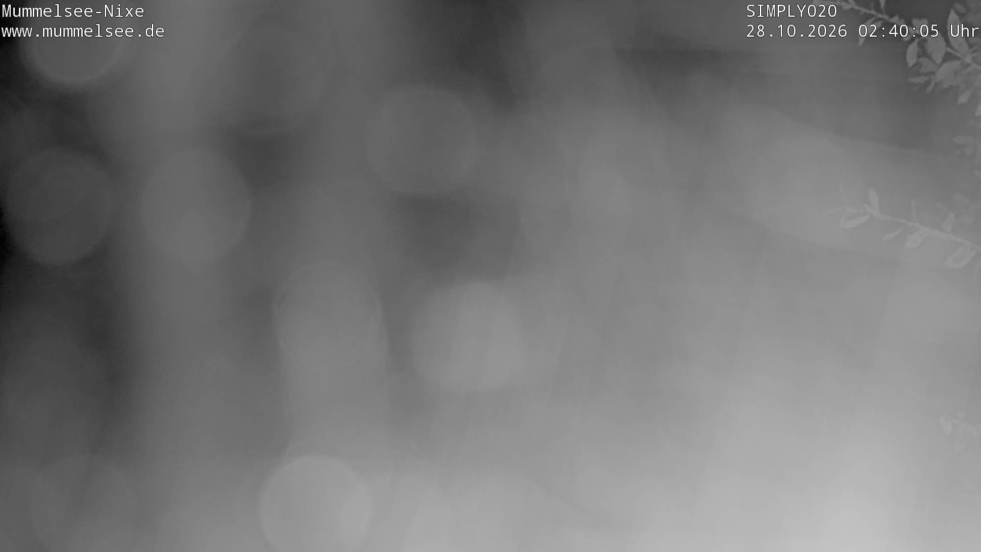 Archived image Webcam Lake Mummelsee - Black Forest