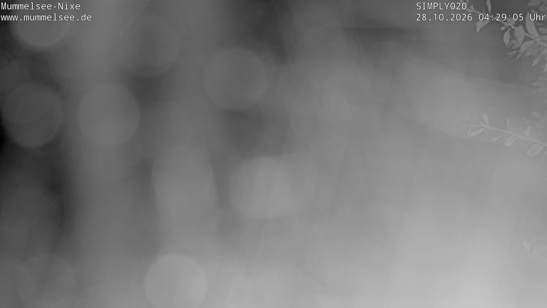 Archived image Webcam Lake Mummelsee - Black Forest