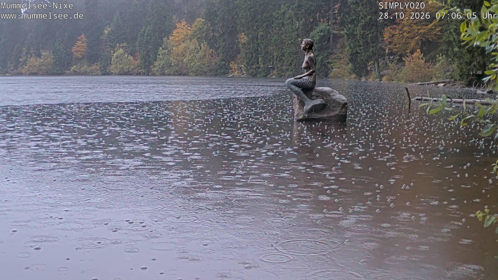 Archived image Webcam Lake Mummelsee - Black Forest