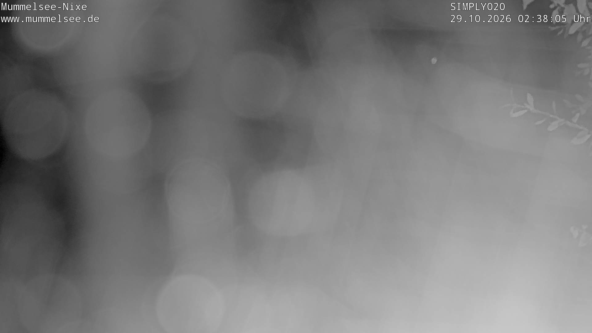 Archiv Foto Webcam Ufer Mummelsee