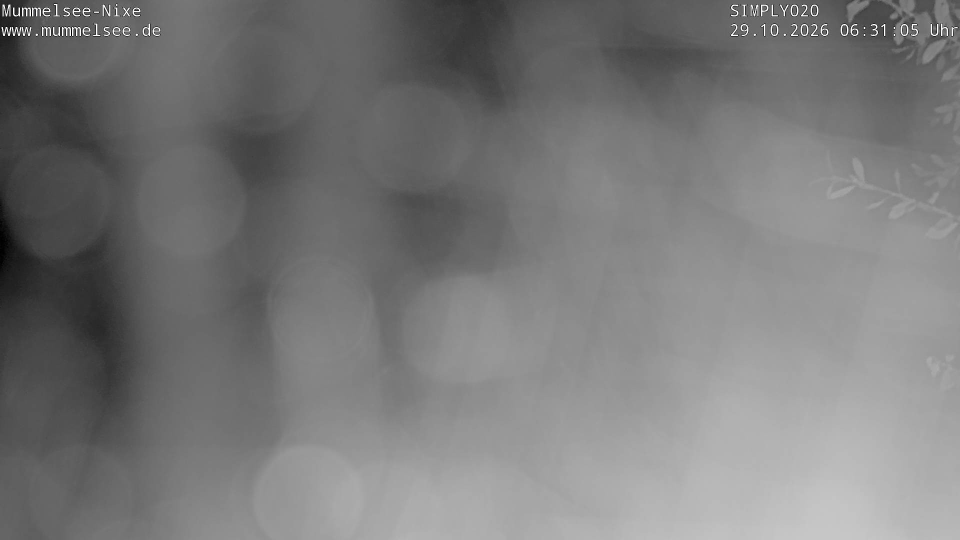Archiv Foto Webcam Ufer Mummelsee
