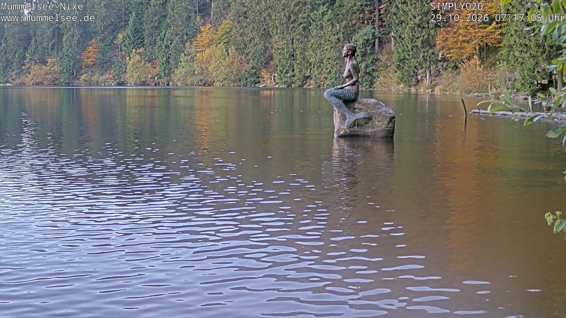 Archiv Foto Webcam Ufer Mummelsee