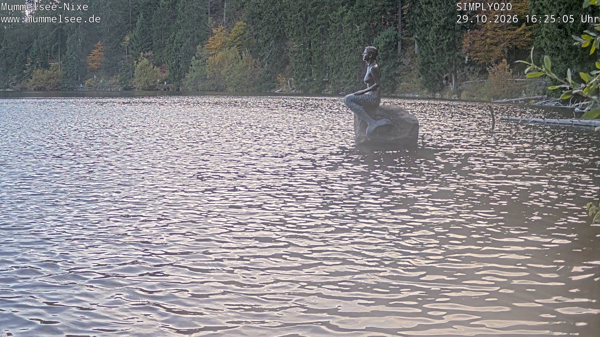 Archiv Foto Webcam Ufer Mummelsee