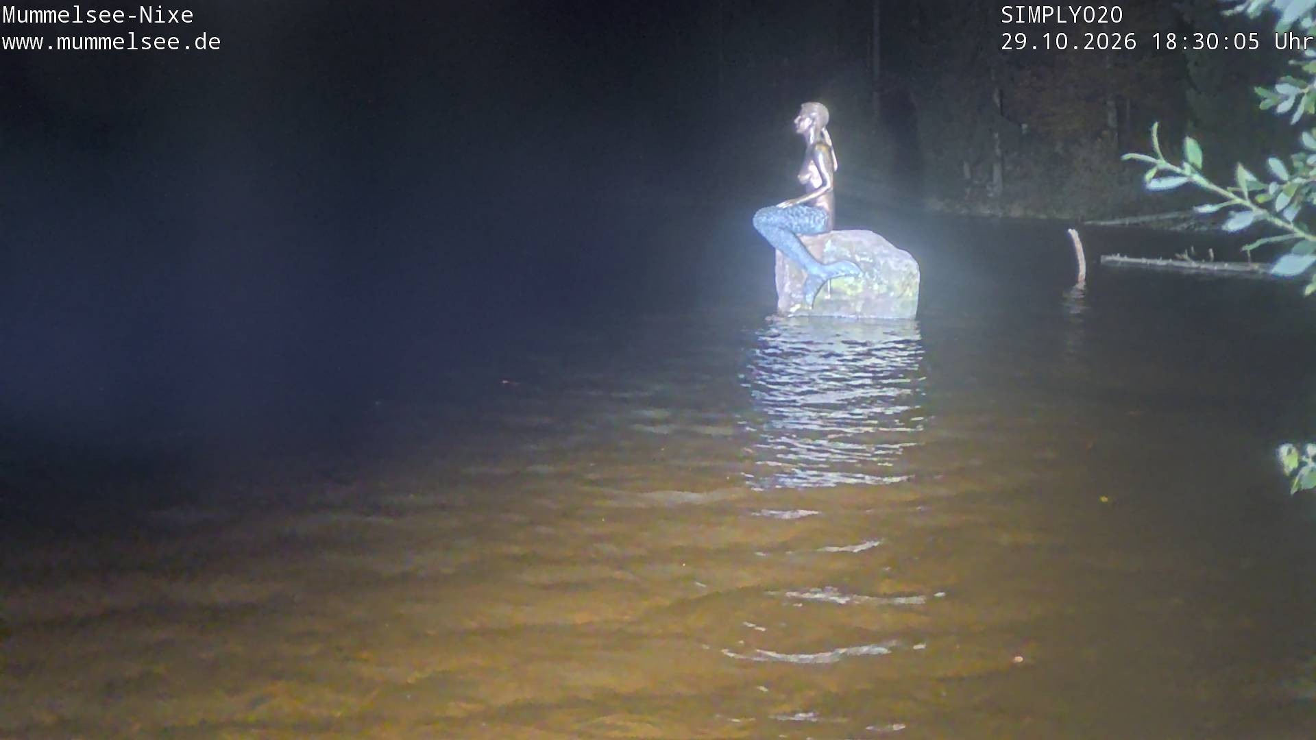 Archiv Foto Webcam Ufer Mummelsee