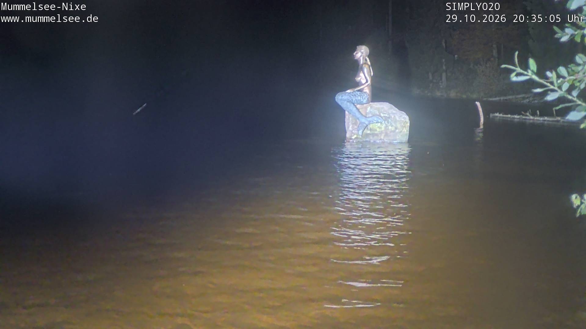 Archiv Foto Webcam Ufer Mummelsee