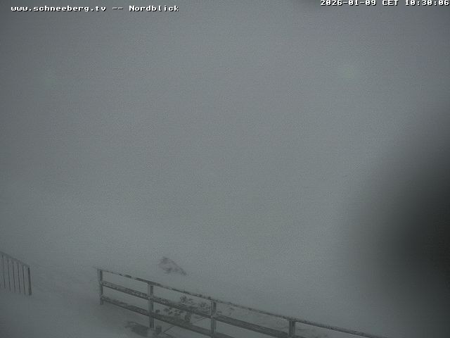 Archiv Foto Webcam Fischerhütte - Puchberg am Schneeberg
