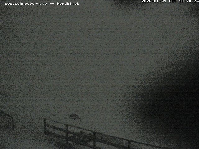 Archiv Foto Webcam Fischerhütte - Puchberg am Schneeberg